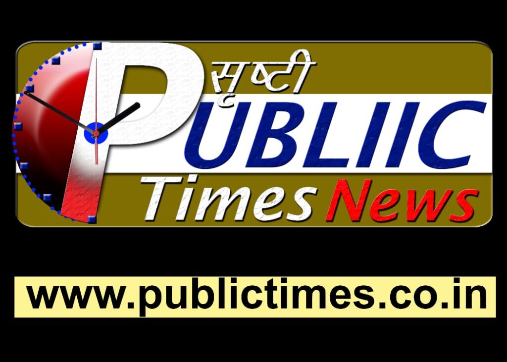 public times logo