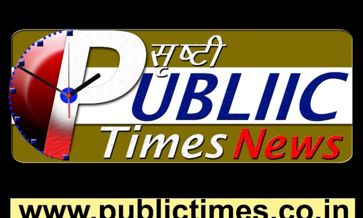 public times logo